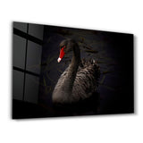 Black Goose | Glass Wall Art