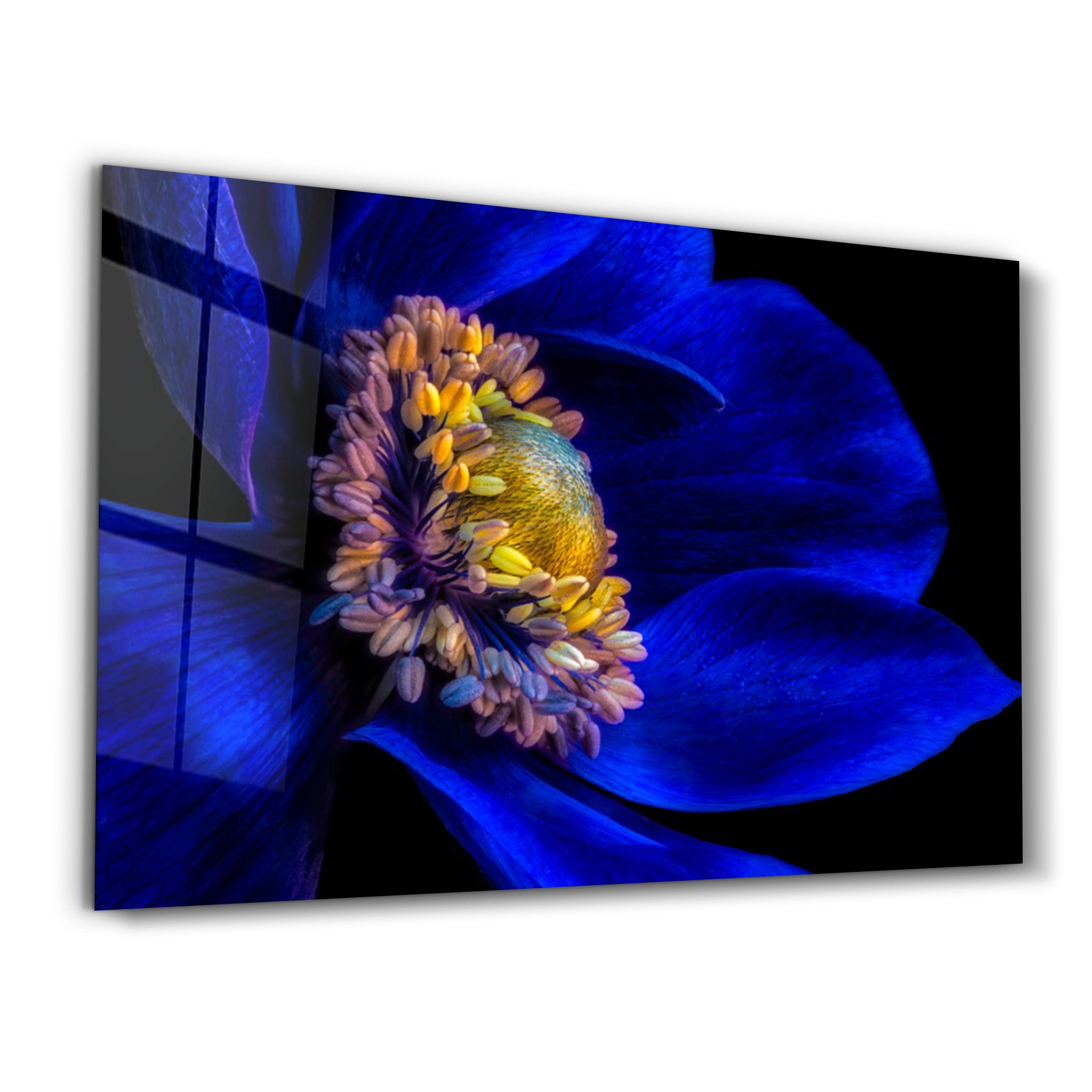 ・"Blue Flower2"・Glass Wall Art - ArtDesigna Glass Printing Wall Art