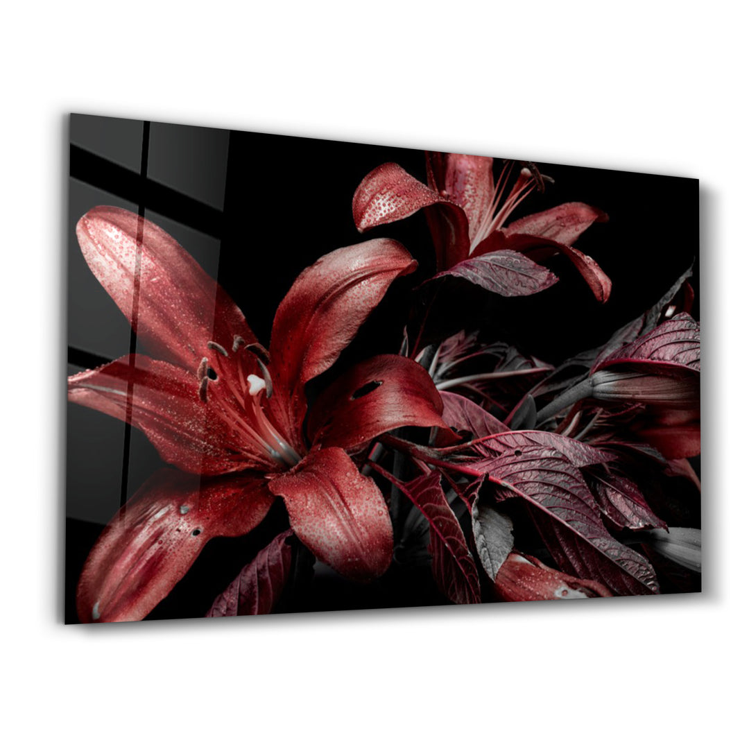 ・"Red and Black Flowers"・Glass Wall Art - ArtDesigna Glass Printing Wall Art