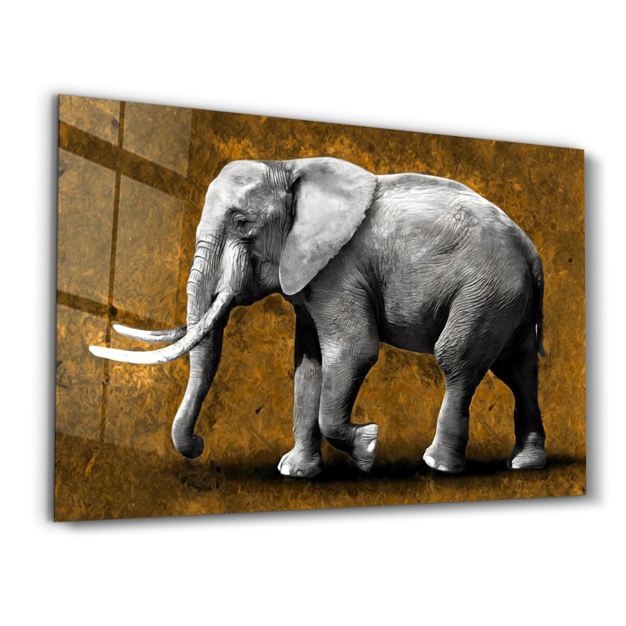 Elephant Brown | Glass Wall Art - ArtDesigna Glass Printing Wall Art