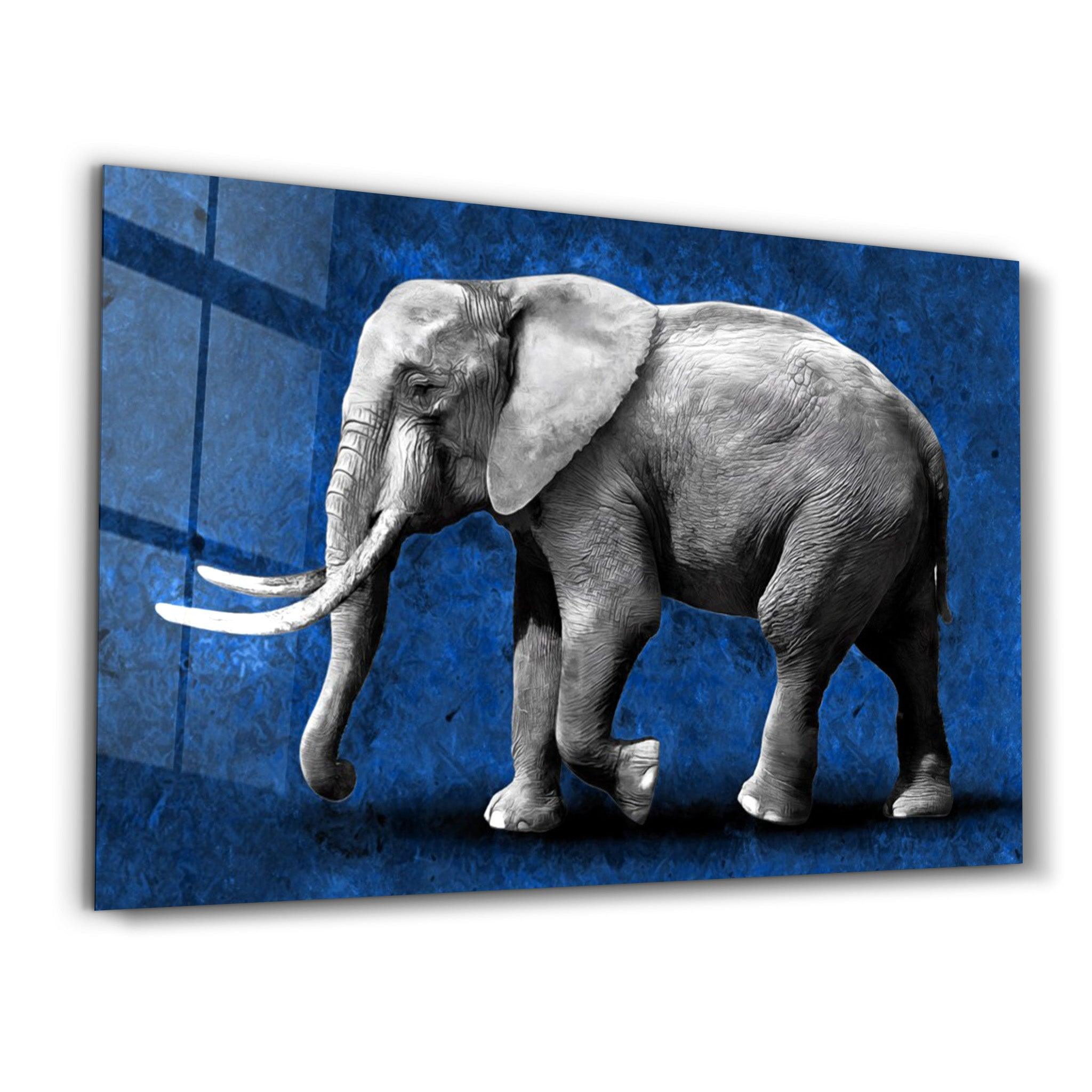 Elephant Blue | Glass Wall Art - ArtDesigna Glass Printing Wall Art