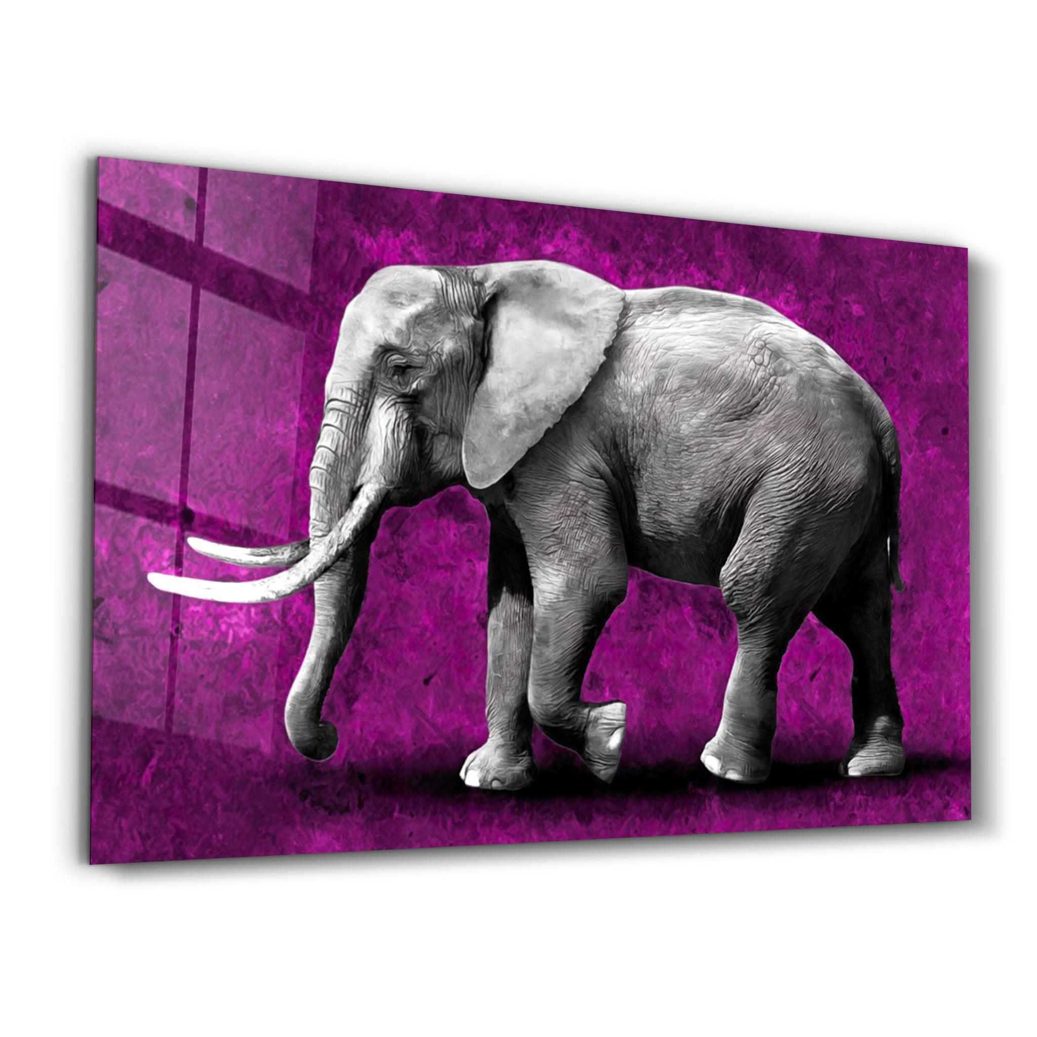 Elephant Purple | Glass Wall Art - ArtDesigna Glass Printing Wall Art