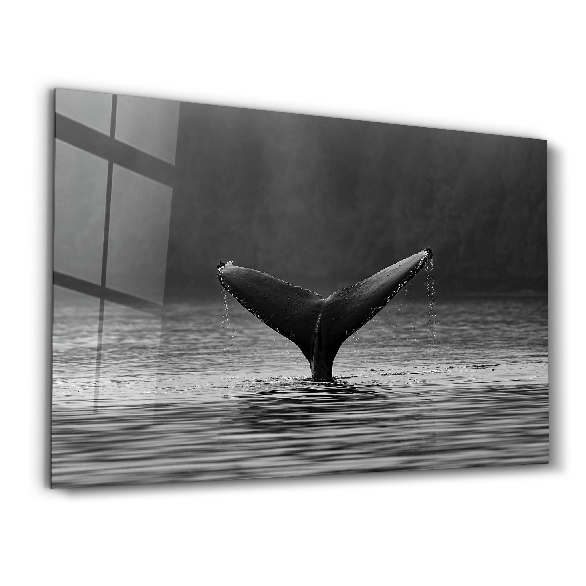 ・"Whale"・Designer's Collection Glass Wall Art - ArtDesigna Glass Printing Wall Art