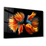 Beta Fishes | Glass Wall Art - ArtDesigna Glass Printing Wall Art