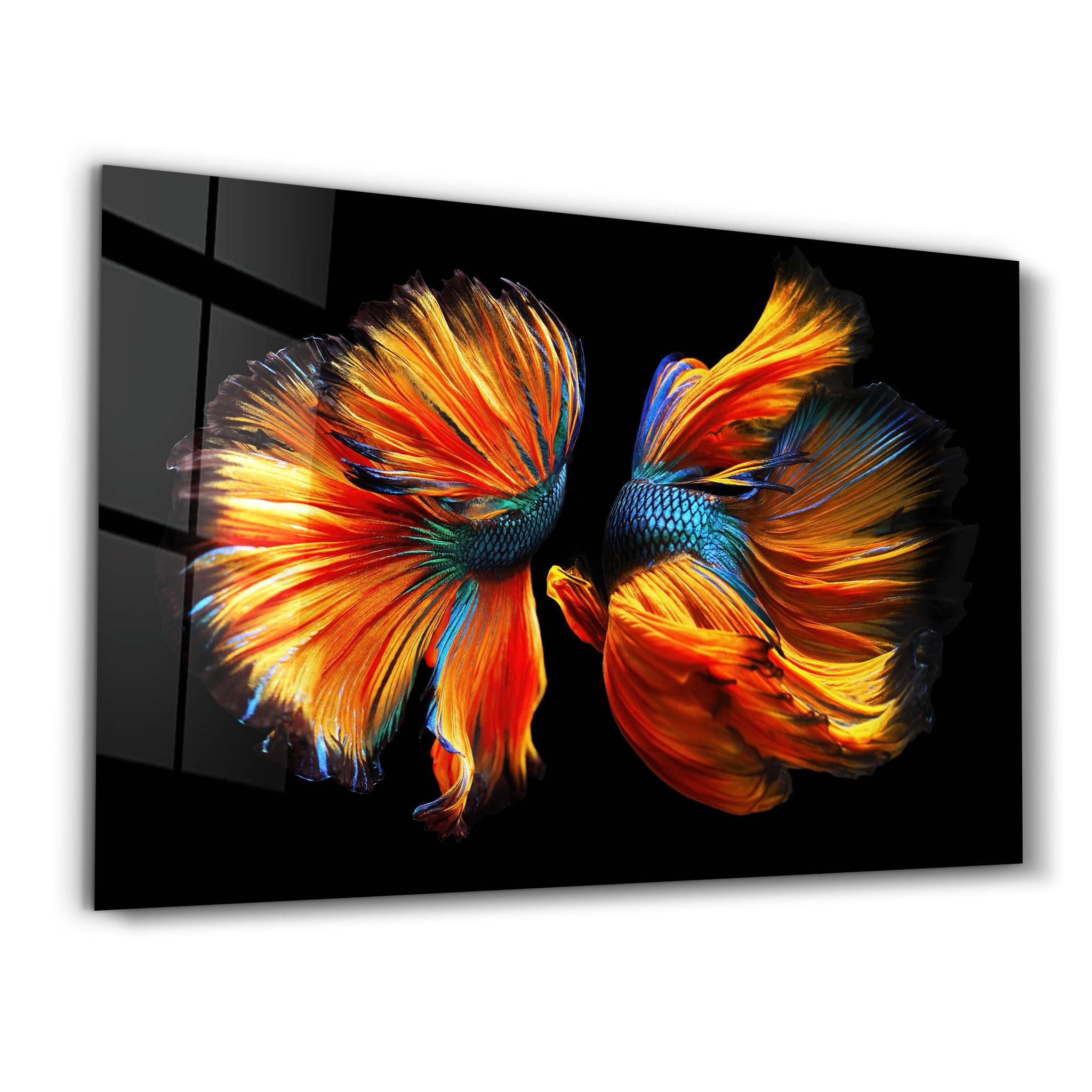 Beta Fishes | Glass Wall Art - ArtDesigna Glass Printing Wall Art