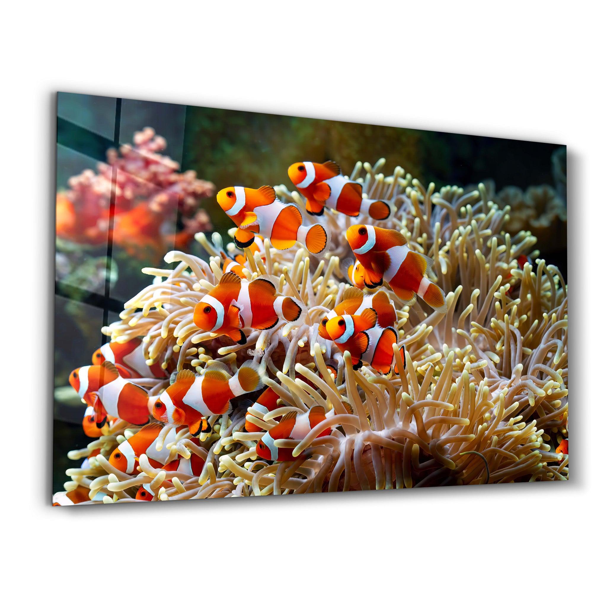 Fishes on Corals | Glass Wall Art - ArtDesigna Glass Printing Wall Art