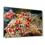 Fishes on Corals | Glass Wall Art