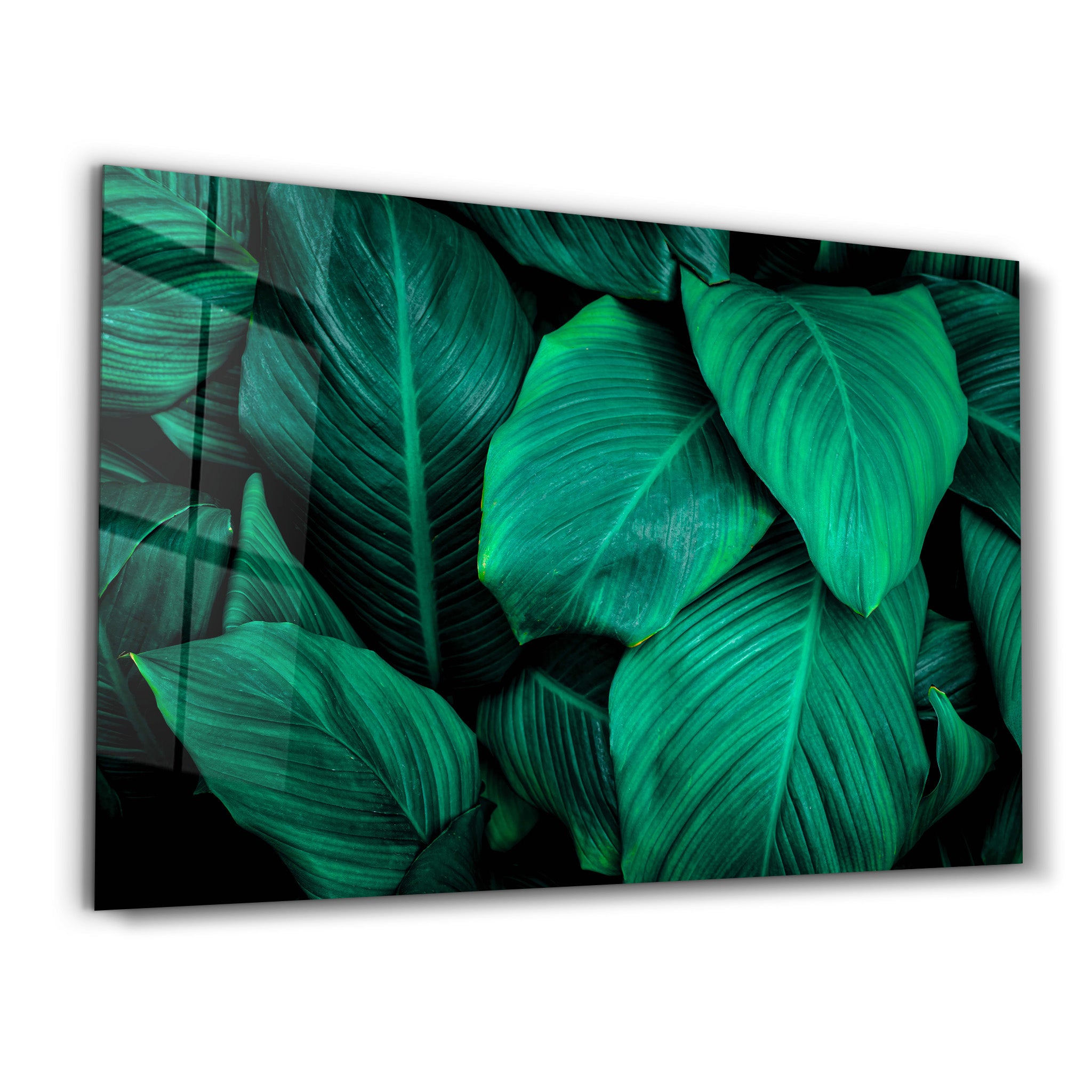 ・"Green Leaves"・Glass Wall Art - ArtDesigna Glass Printing Wall Art