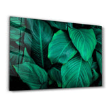 Green Leaves | Glass Wall Art