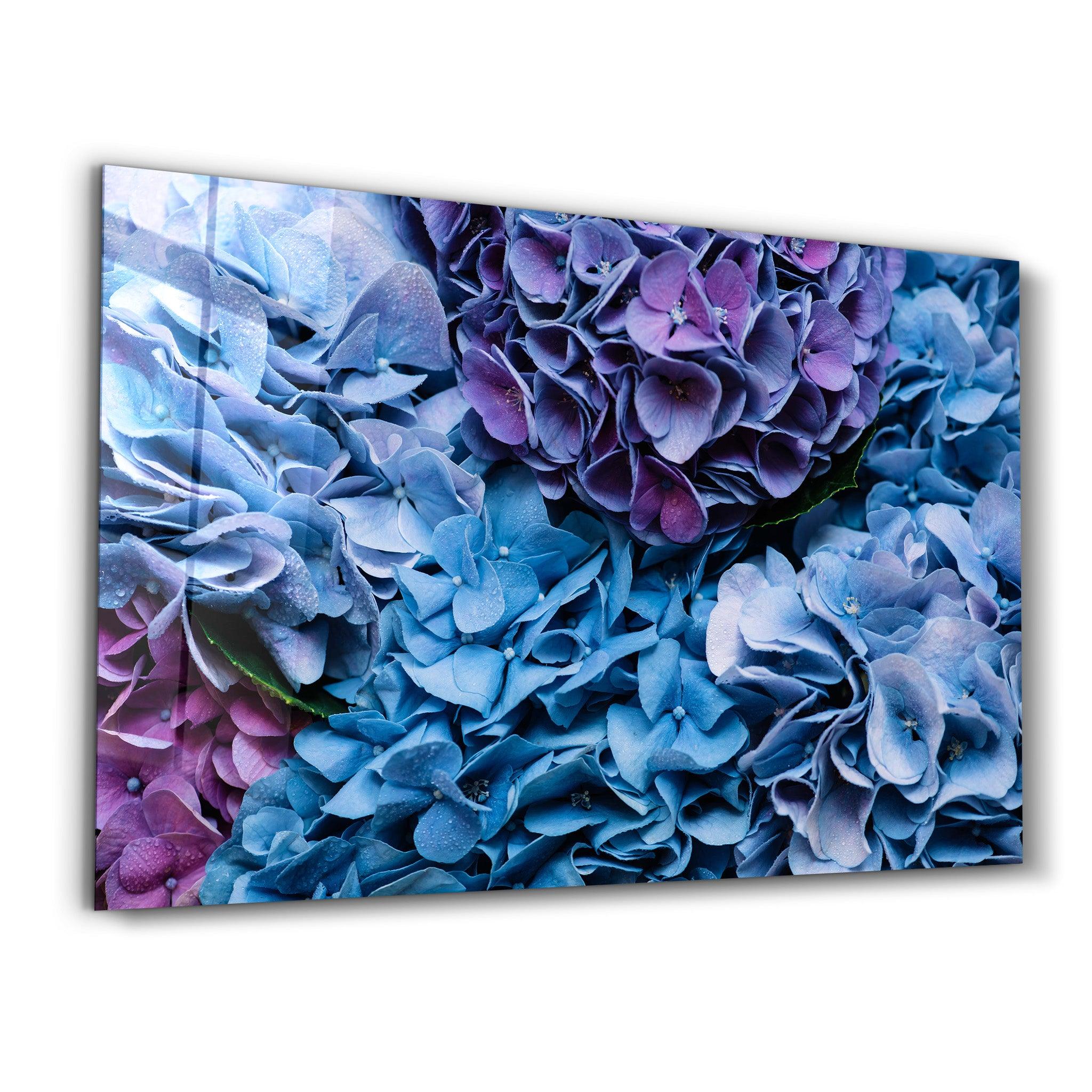 hydrangea | Glass Wall Art - ArtDesigna Glass Printing Wall Art