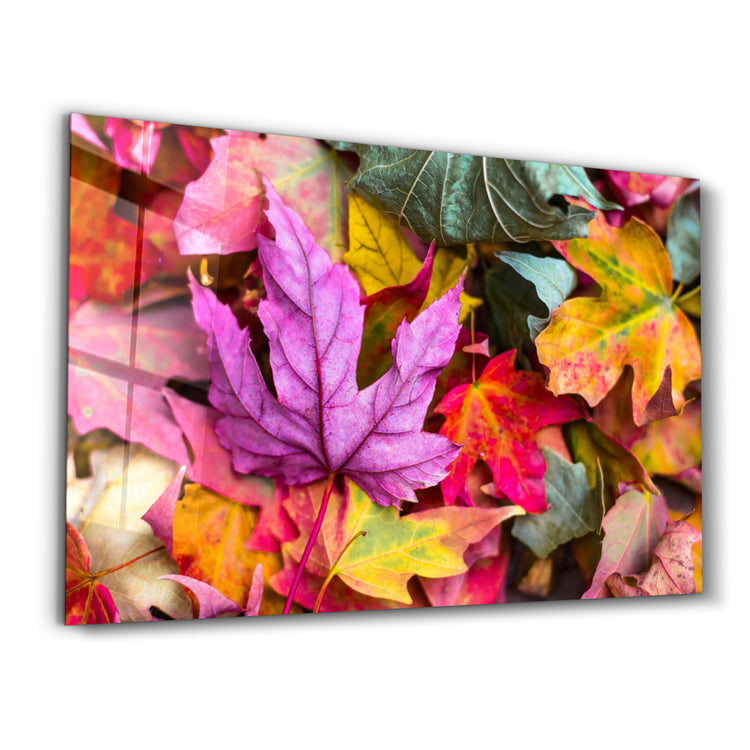 ・"Fall & Leaves"・Glass Wall Art - ArtDesigna Glass Printing Wall Art