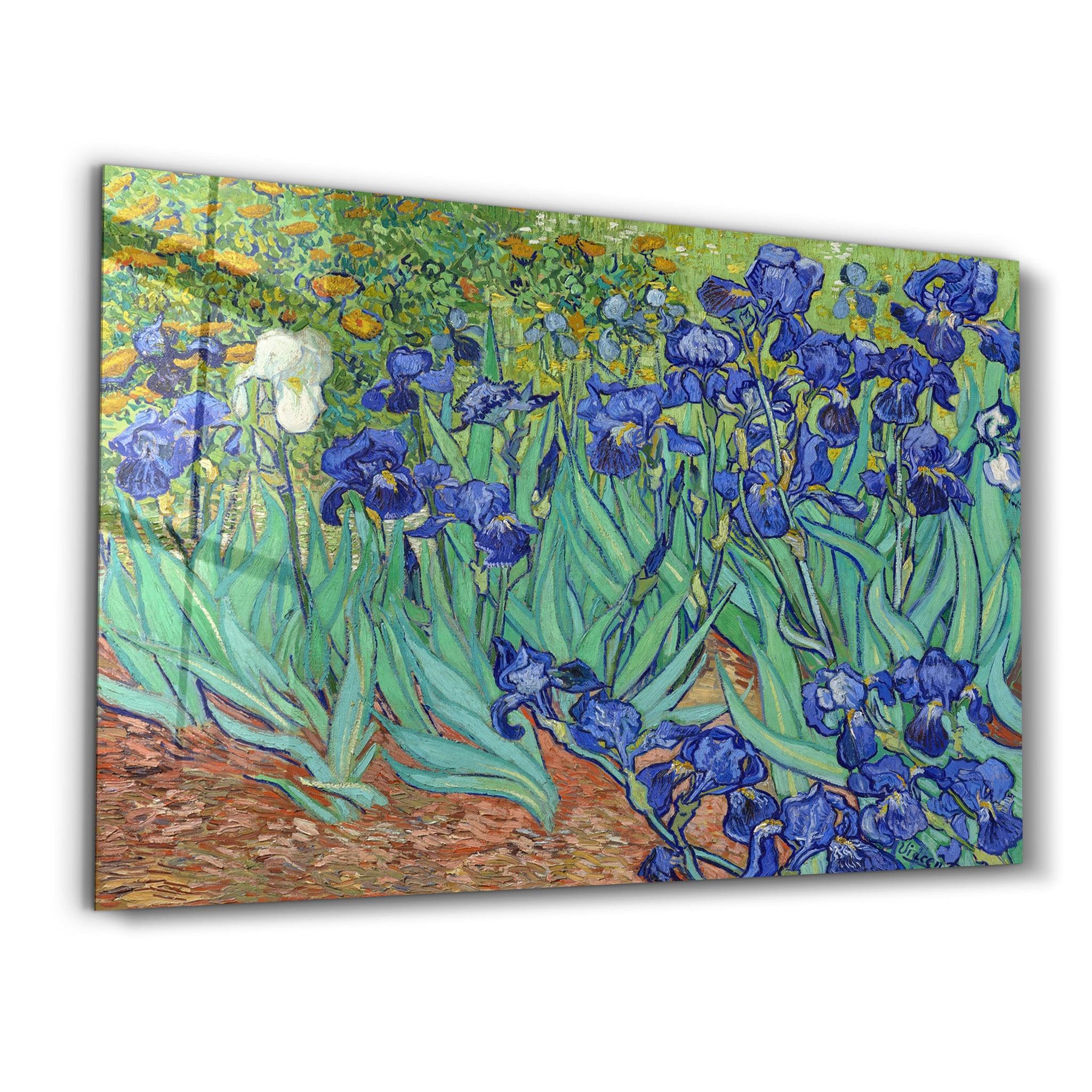 Irises (1889) by Vincent Van Gogh | Glass Wall Art - ArtDesigna Glass Printing Wall Art