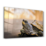 Striped Turtle | Glass Wall Art