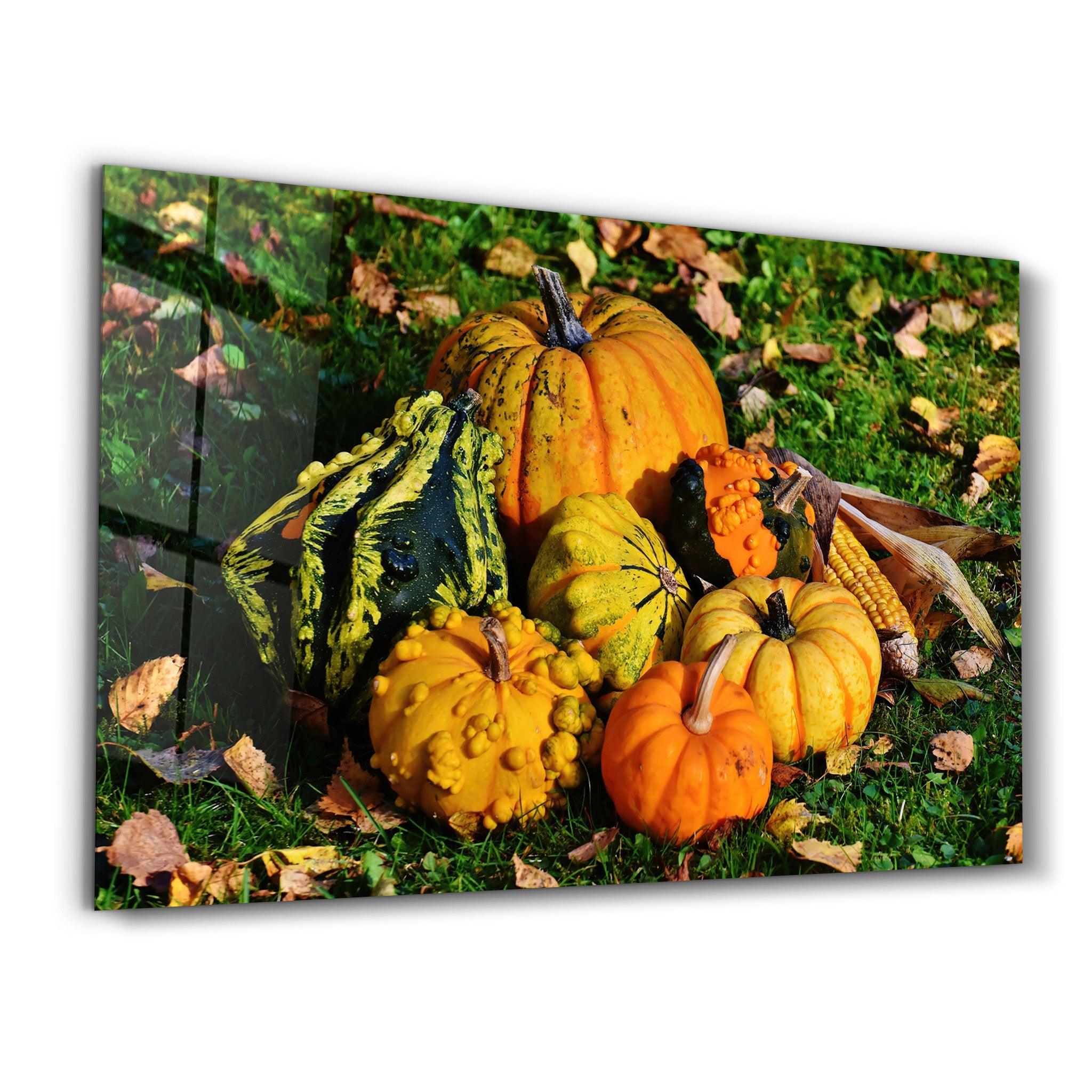 Pumpkins | Glass Wall Art - ArtDesigna Glass Printing Wall Art