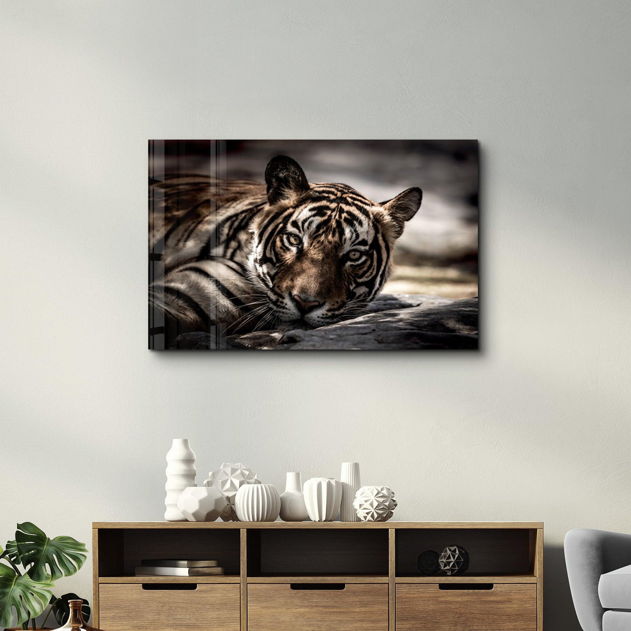 Tired Tiger | Glass Wall Art - ArtDesigna Glass Printing Wall Art