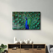 The Peacock | Glass Wall Art - ArtDesigna Glass Printing Wall Art