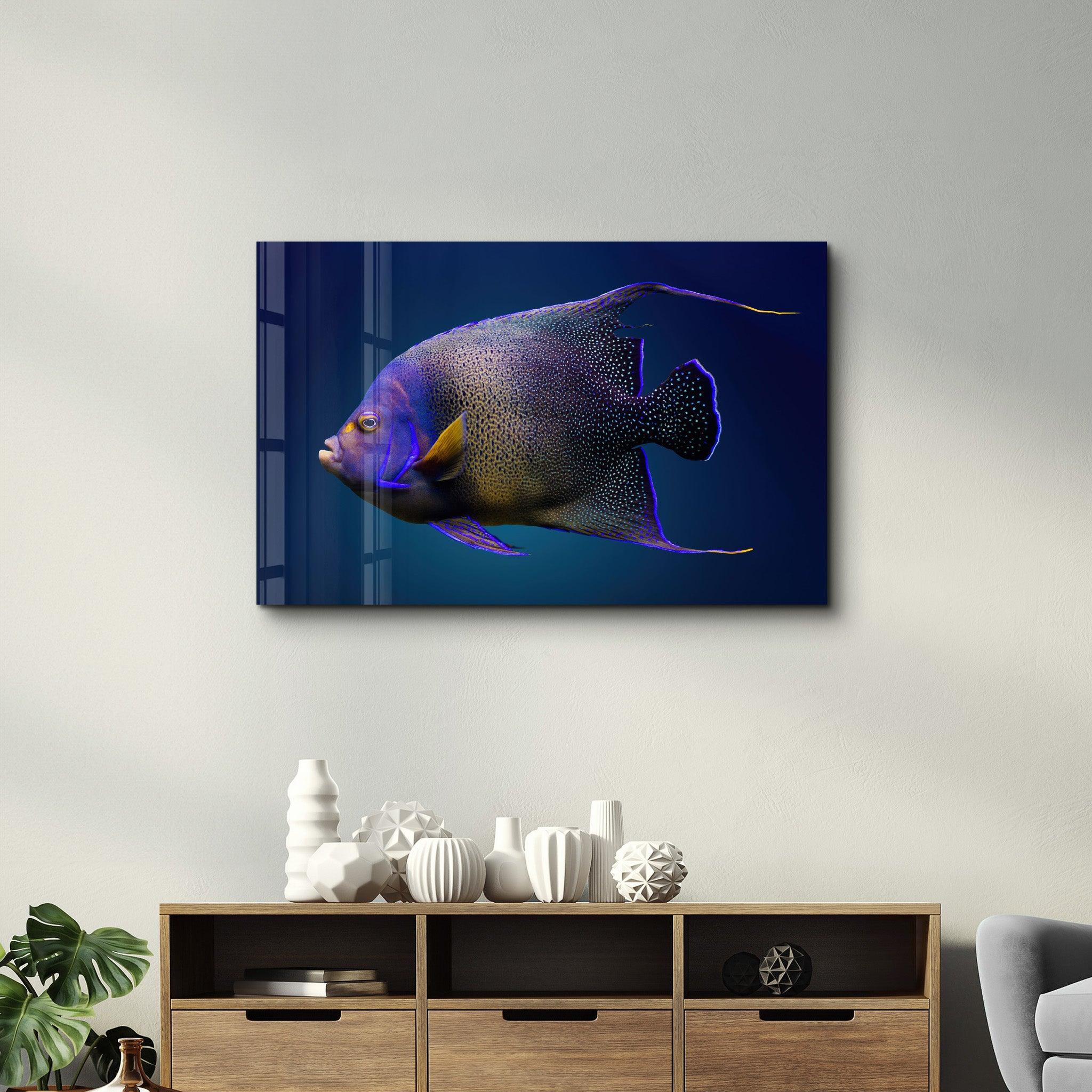 Exotic Fish | GLASS WALL ART - ArtDesigna Glass Printing Wall Art