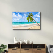 Palm Tree & Beach | Glass Wall Art - Artdesigna