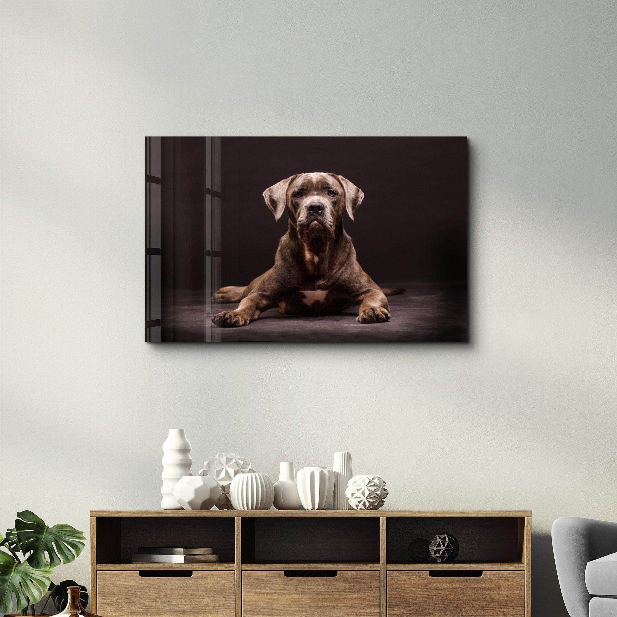 Dog | Glass Wall Art - ArtDesigna Glass Printing Wall Art