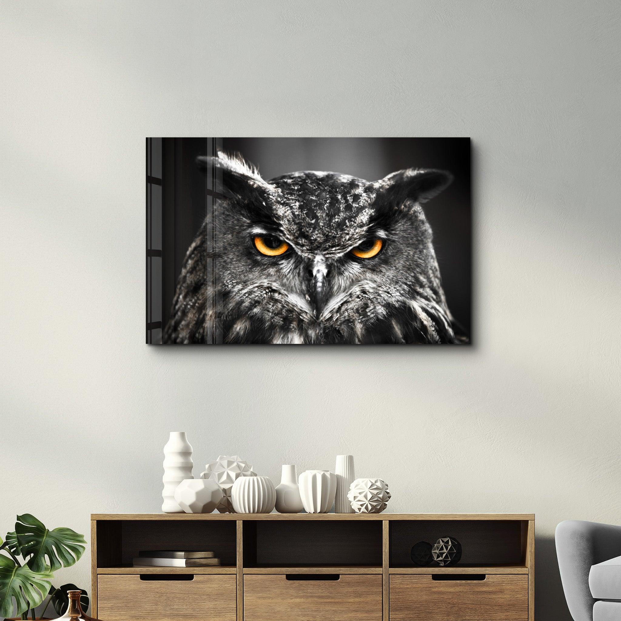Owl | Glass Wall Art - ArtDesigna Glass Printing Wall Art