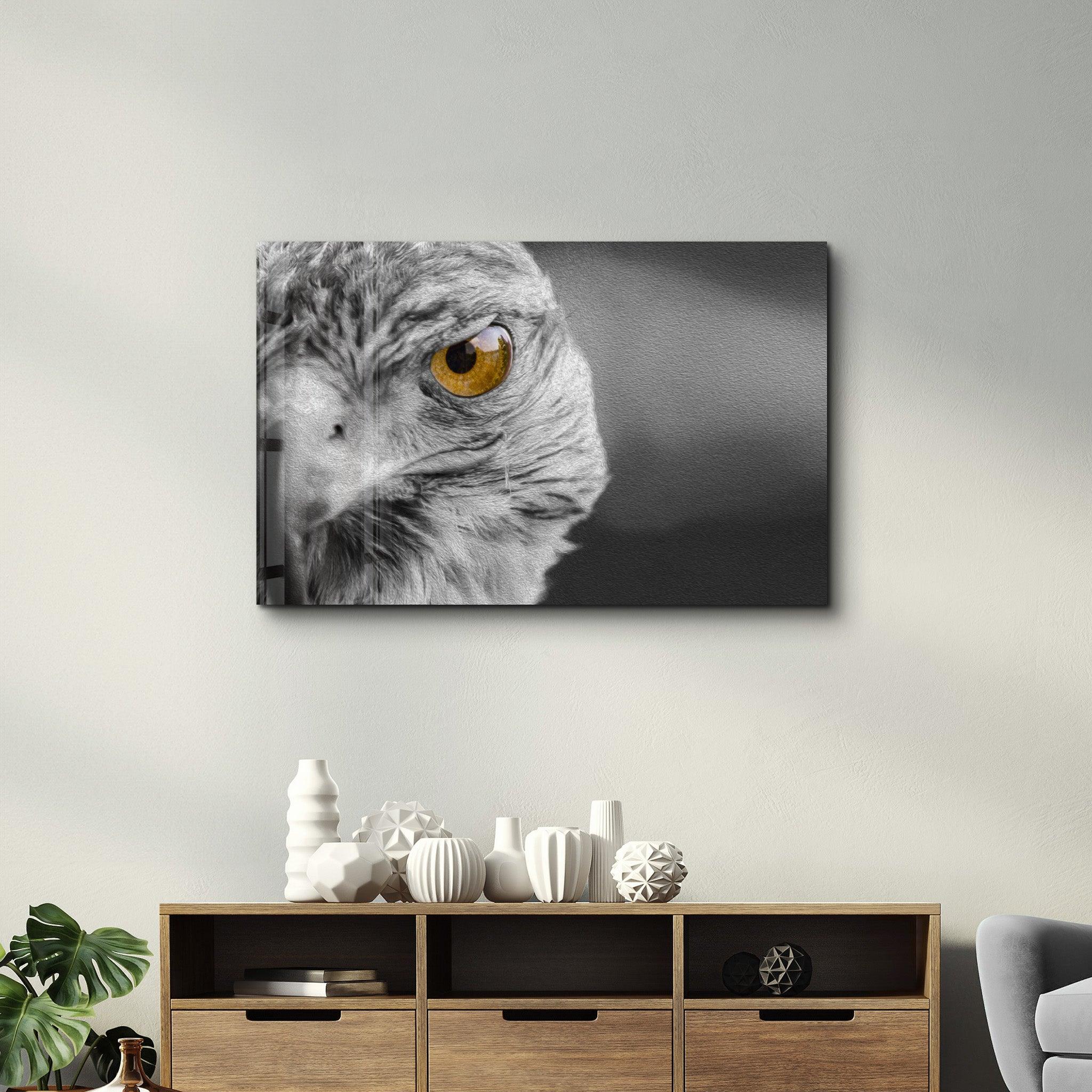 Hawk | Glass Wall Art - ArtDesigna Glass Printing Wall Art
