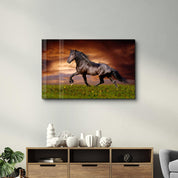Horse in the Wind | Glass Wall Art - ArtDesigna Glass Printing Wall Art