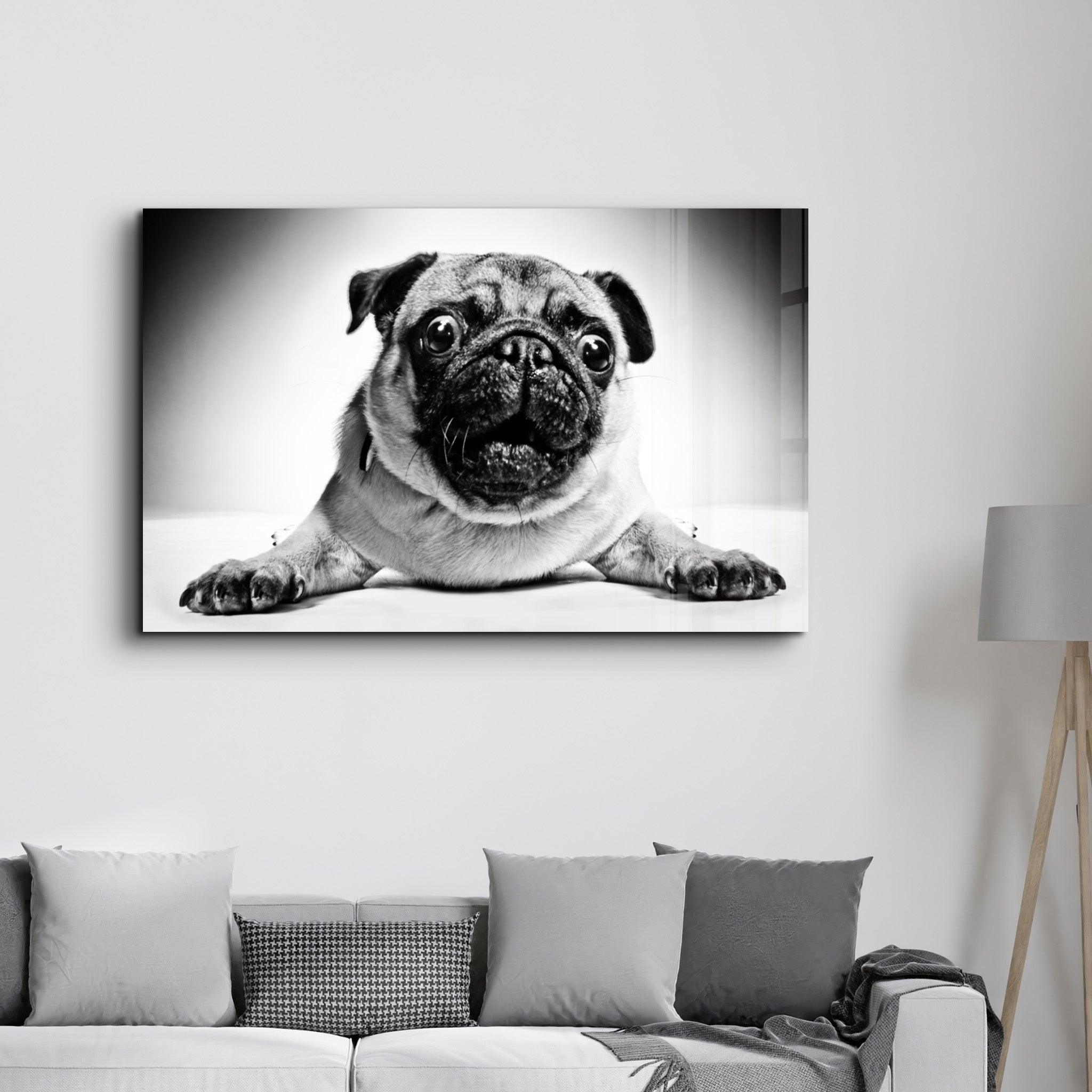 Pug | Glass Wall Art - ArtDesigna Glass Printing Wall Art