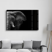 Elephant | Glass Wall Art - Artdesigna