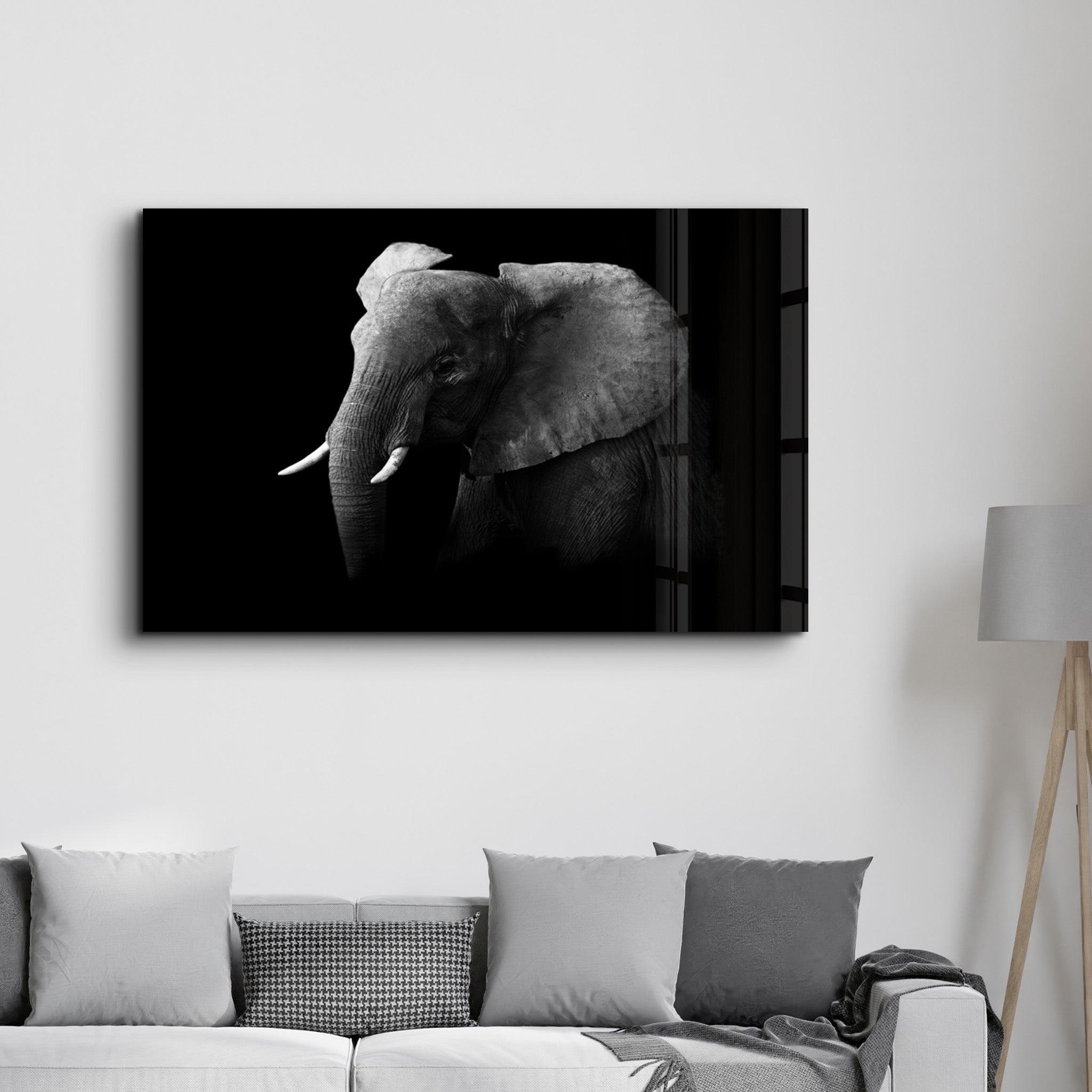 Elephant | Glass Wall Art - Artdesigna