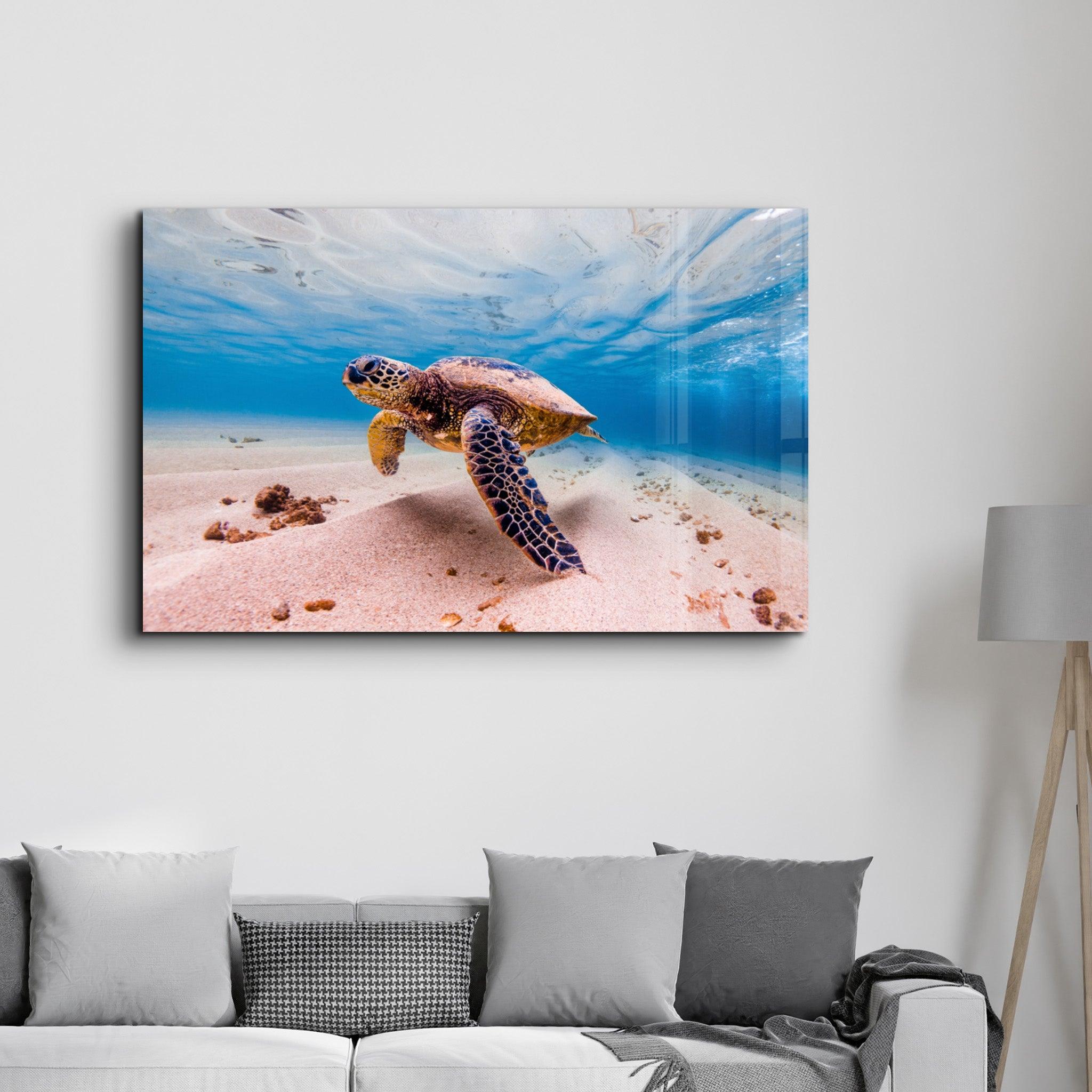 Sea Turtle | Glass Wall Art - Artdesigna