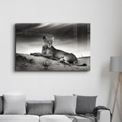 Lioness | Glass Wall Art - Artdesigna