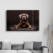 Dog | Glass Wall Art - ArtDesigna Glass Printing Wall Art