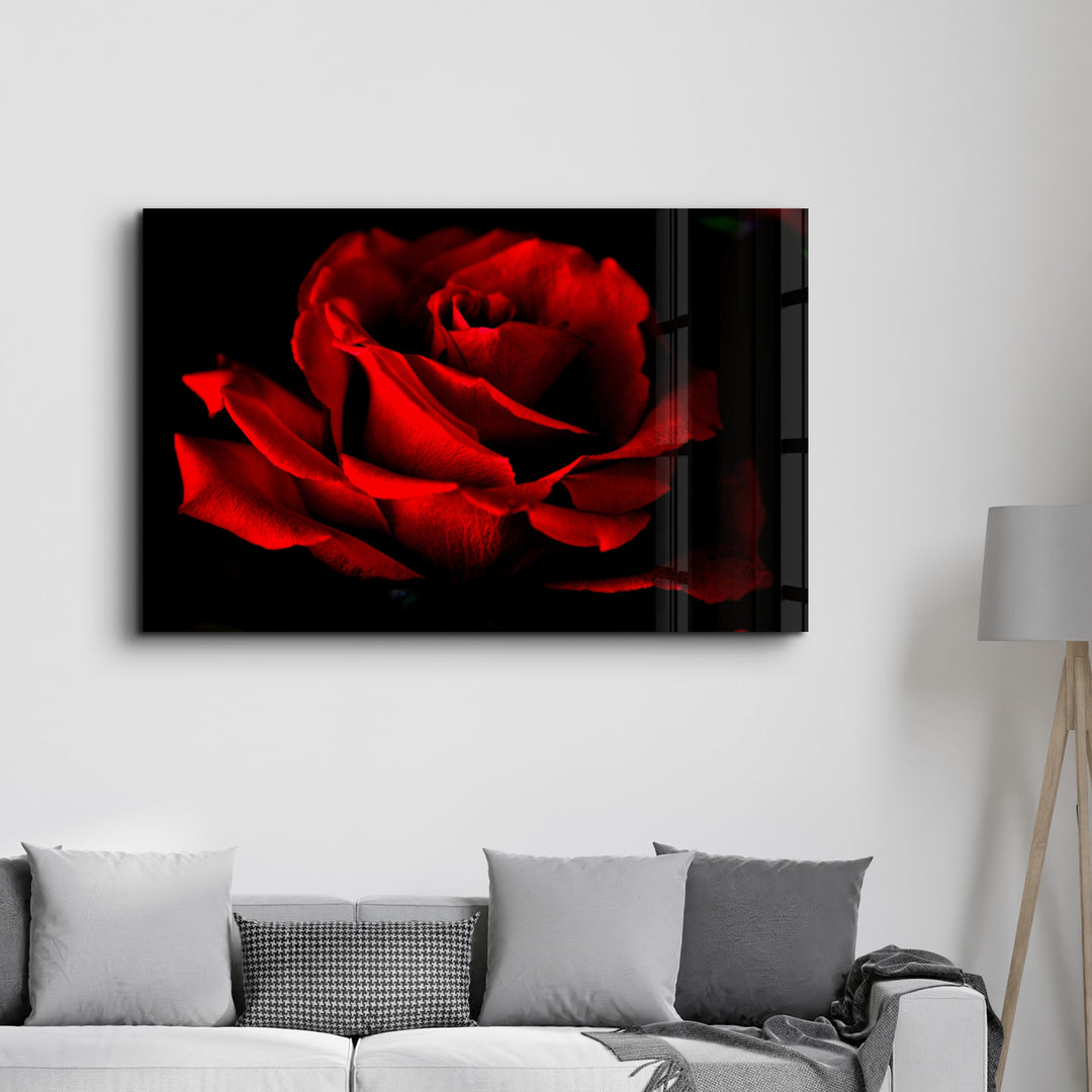 ・"Red Rose"・Glass Wall Art - ArtDesigna Glass Printing Wall Art
