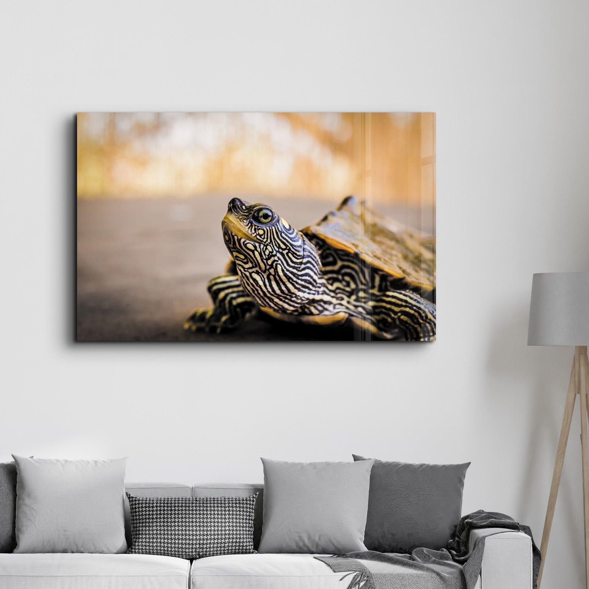Striped Turtle | Glass Wall Art - ArtDesigna Glass Printing Wall Art