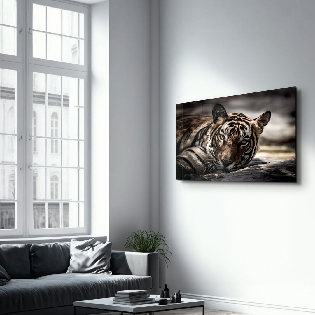 ・"Tired Tiger"・Glass Wall Art - ArtDesigna Glass Printing Wall Art