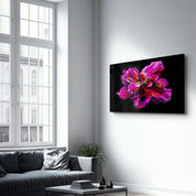 Purple Flower | Glass Wall Art - ArtDesigna Glass Printing Wall Art