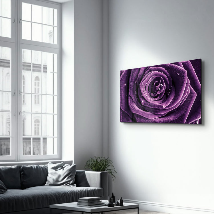 ・"Purple Rose V2"・Glass Wall Art - ArtDesigna Glass Printing Wall Art