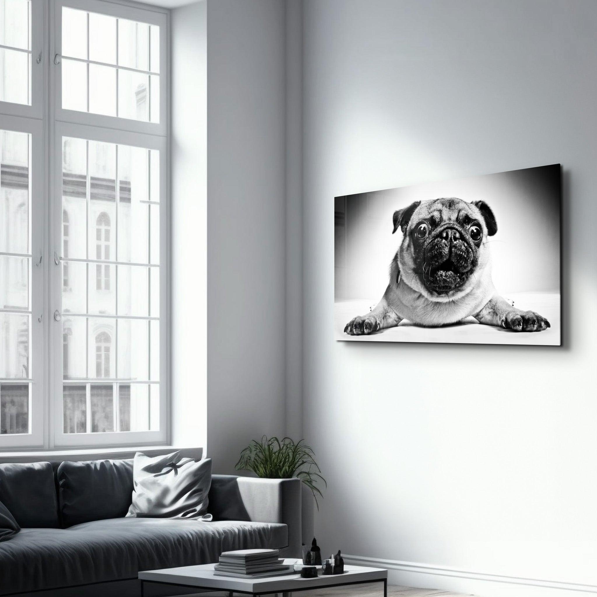 Pug | Glass Wall Art - ArtDesigna Glass Printing Wall Art