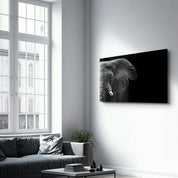 Elephant | Glass Wall Art - Artdesigna