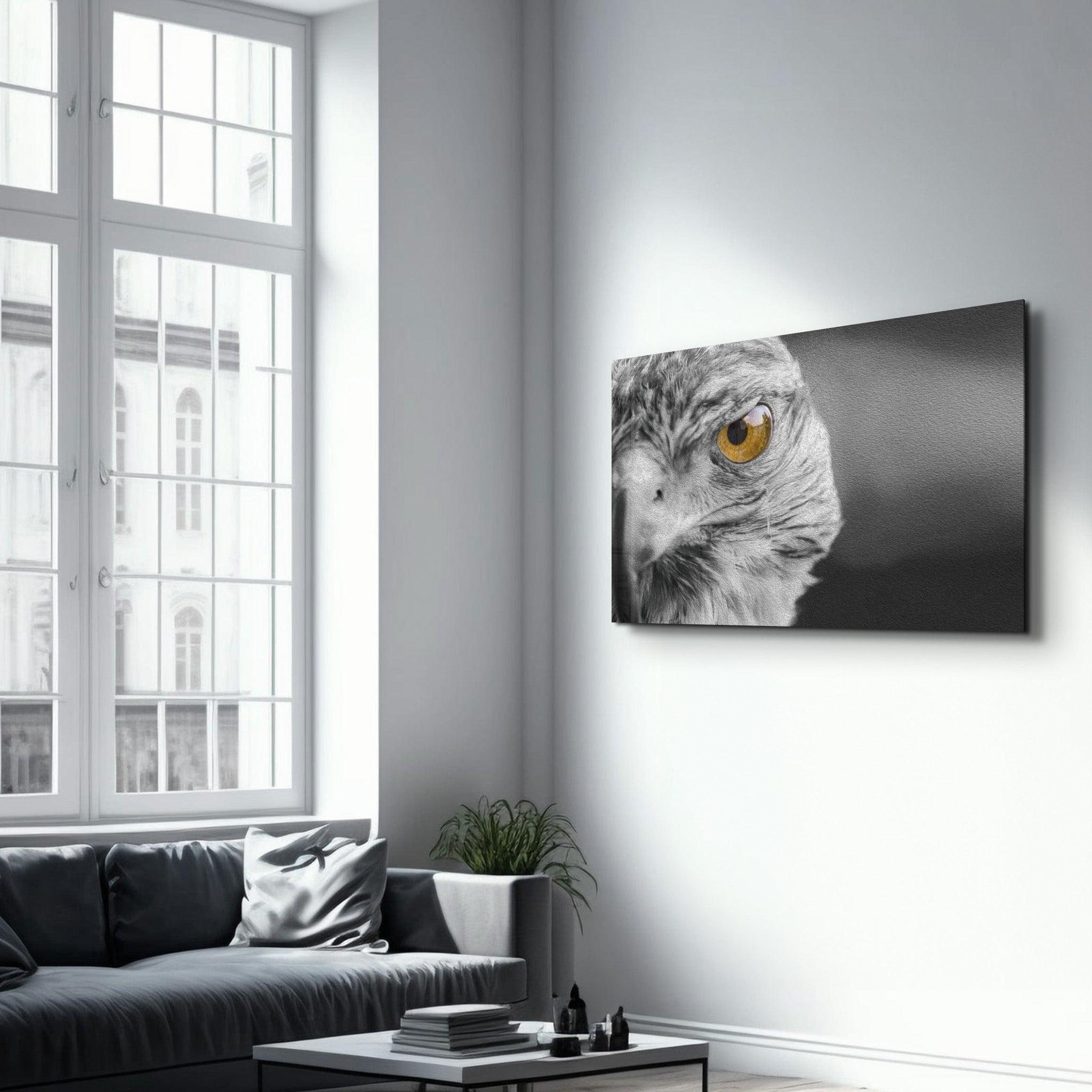 Hawk | Glass Wall Art - Artdesigna