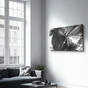 Black and White | Designer's Collection Glass Wall Art - ArtDesigna Glass Printing Wall Art