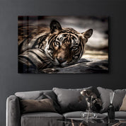 Tired Tiger | Glass Wall Art - ArtDesigna Glass Printing Wall Art