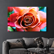 Floribunda Rose | Glass Wall Art - ArtDesigna Glass Printing Wall Art