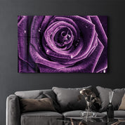 Purple Rose V2 | Glass Wall Art - ArtDesigna Glass Printing Wall Art
