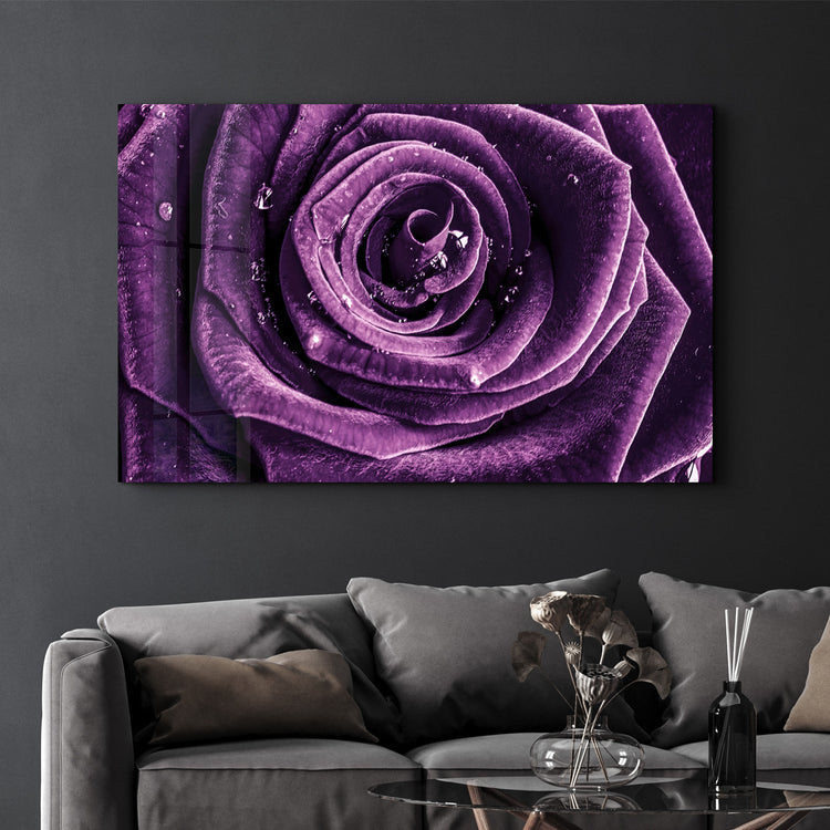 ・"Purple Rose V2"・Glass Wall Art - ArtDesigna Glass Printing Wall Art
