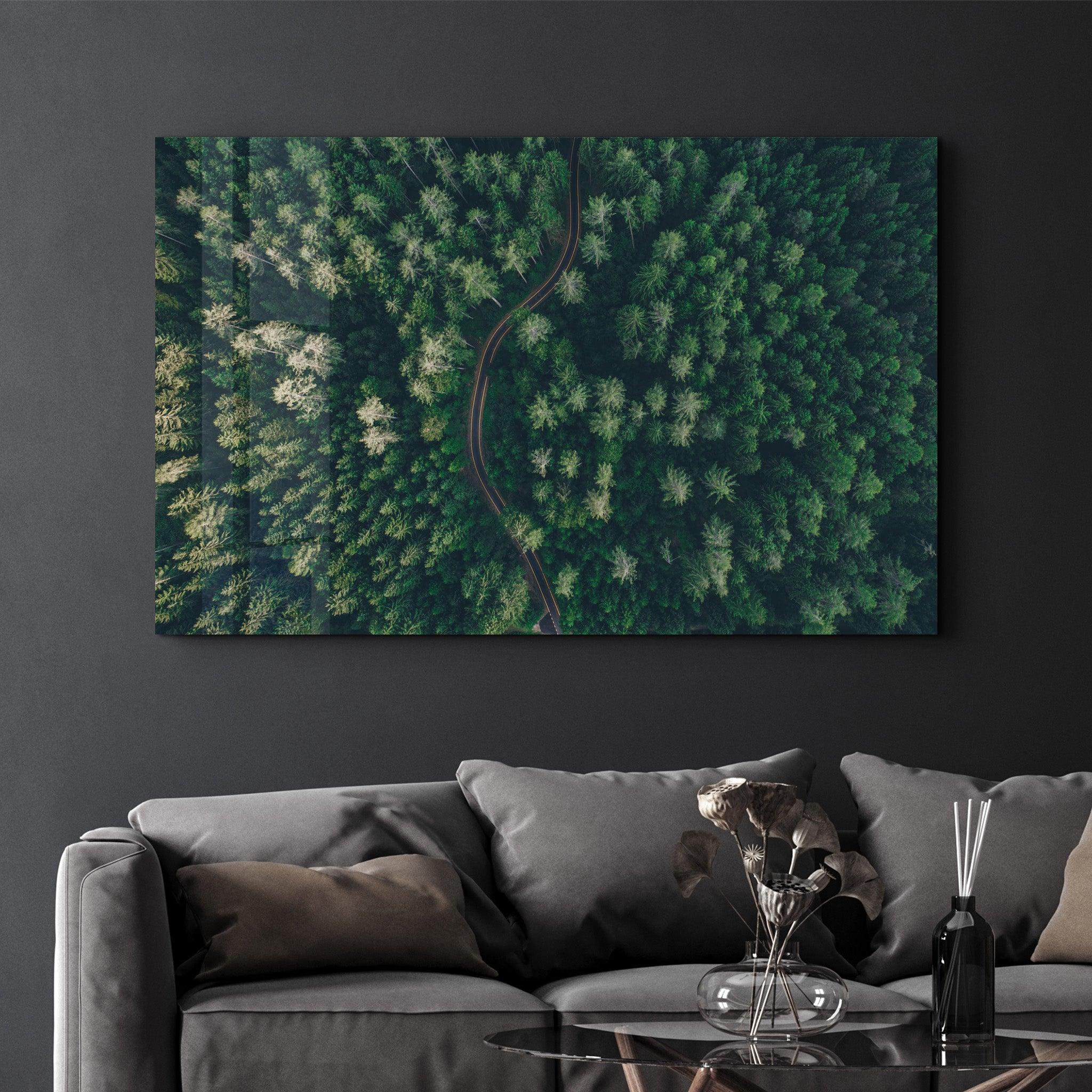 Divided Forest | Glass Wall Art - ArtDesigna Glass Printing Wall Art