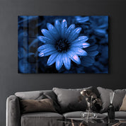 Blue Daisy | Glass Wall Art - ArtDesigna Glass Printing Wall Art