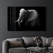 Elephant | Glass Wall Art - Artdesigna