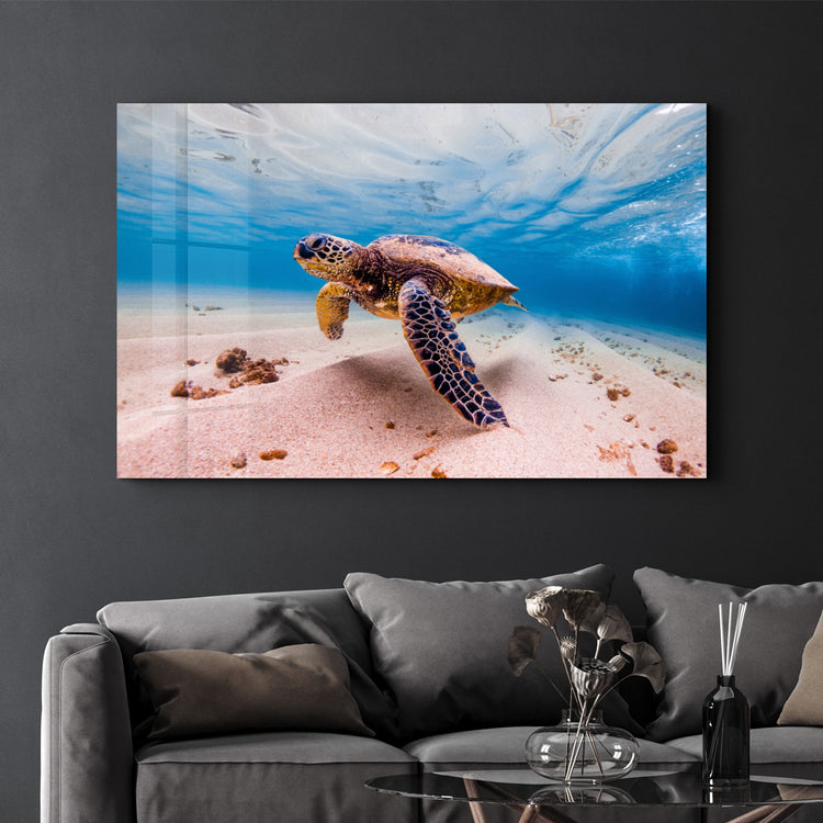 ・"Sea Turtle"・Glass Wall Art - ArtDesigna Glass Printing Wall Art