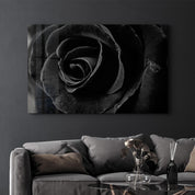 Black Rose | Glass Wall Art - Artdesigna